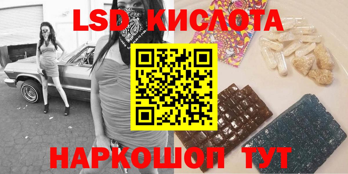 A PVP Луга