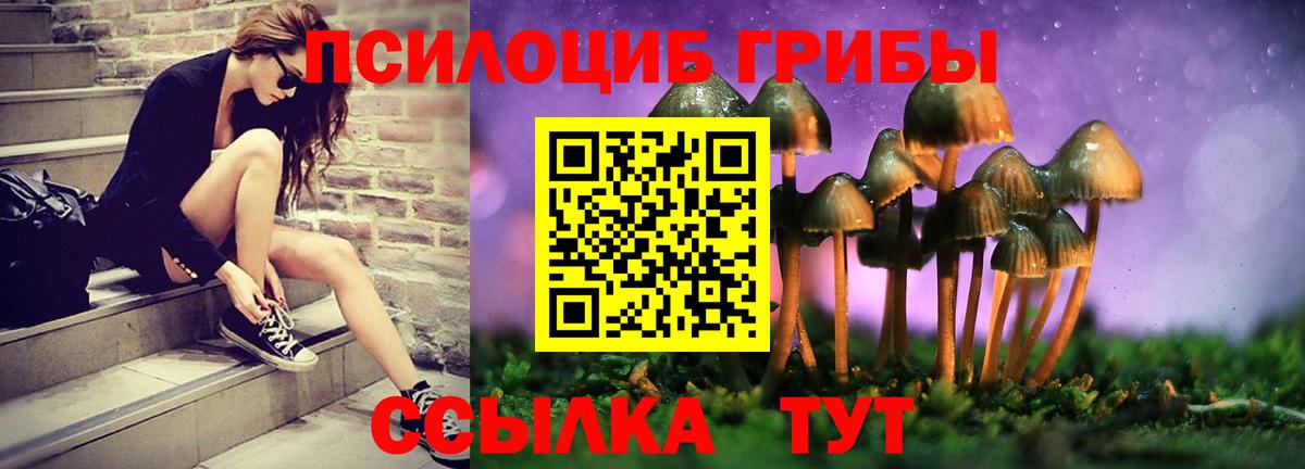 Псилоцибиновые грибы Magic Shrooms  Псилоцибиновые грибы мухоморы  Вход с VPN  Луга 